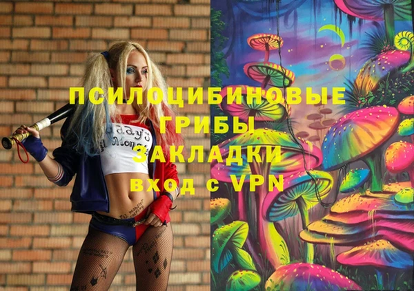 дурь Кодинск