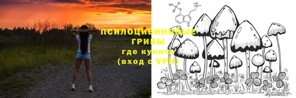 скорость Краснослободск